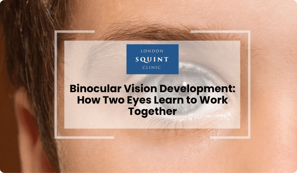binocular vision development two eyes together